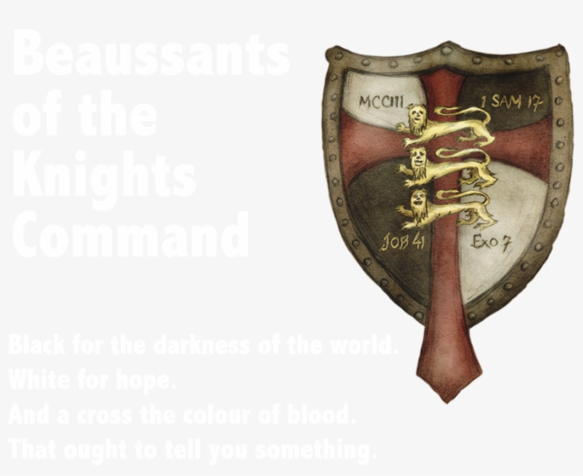 Deliberately Similar To The Beaussants Of The Knights - Etrich Taube Plans, transparent png download