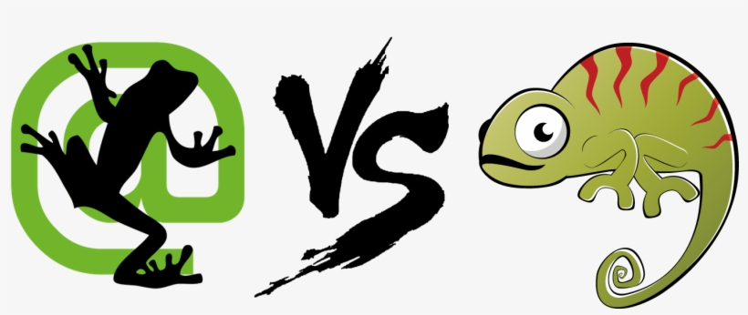 Screaming Frog Logo, transparent png download