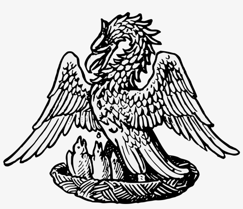 Details, Png - Pelican In Her Piety, transparent png download