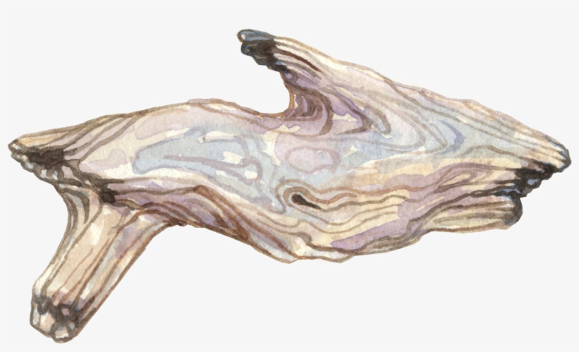Pages - Driftwood, transparent png download