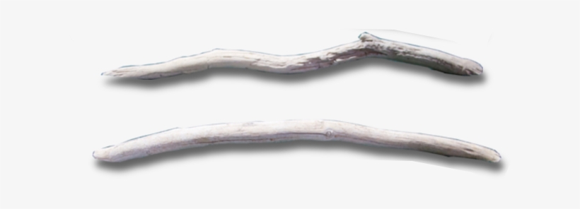 Drift Wood Transparent, transparent png download