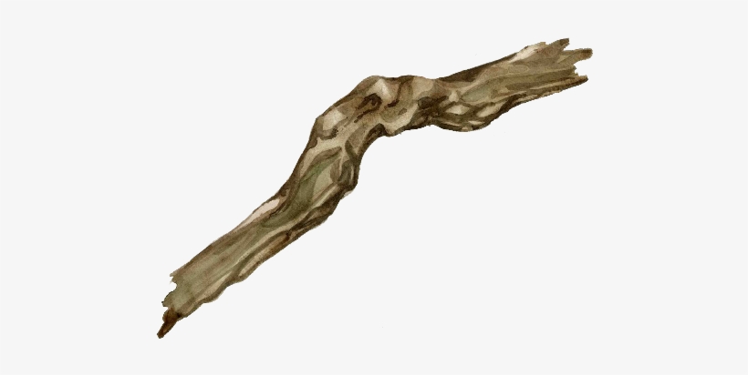 Driftwood, Driftwood - Driftwood Gif, transparent png download