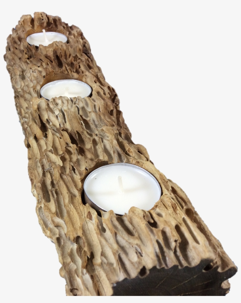 Driftwood, transparent png download