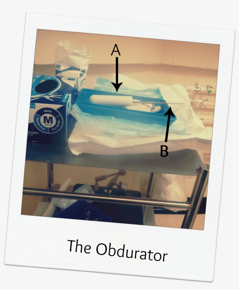 At The First Appointment You Are Given An Internal - Poster, transparent png download