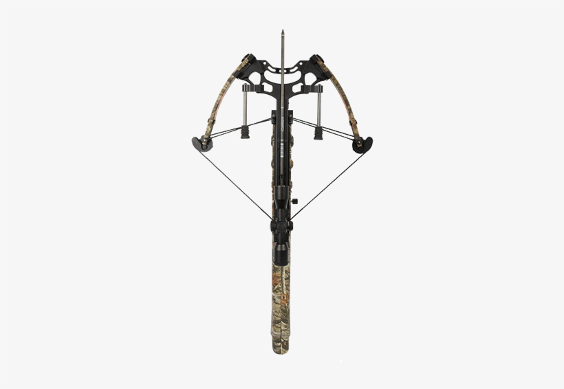 Concorde 175 Lbs - Compound Bow, transparent png download