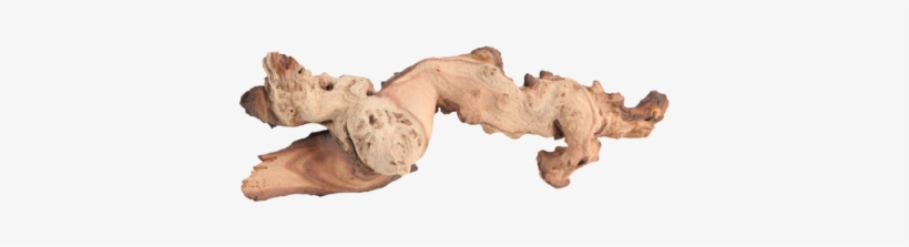 Fluval Mopani Dirftwood Is A Finely Crafted Ornament - Wood, transparent png download