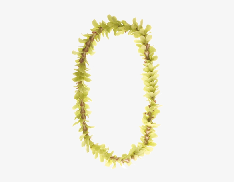 Green - Hawaii, transparent png download
