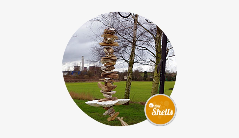 Bird - Oyster, transparent png download