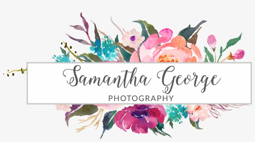 Floral Watercolor, transparent png download