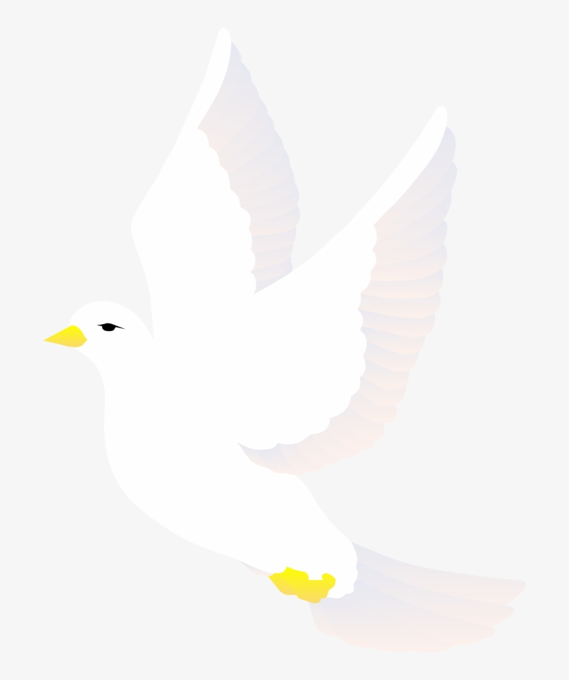 How To Set Use Bird White Clipart, transparent png download