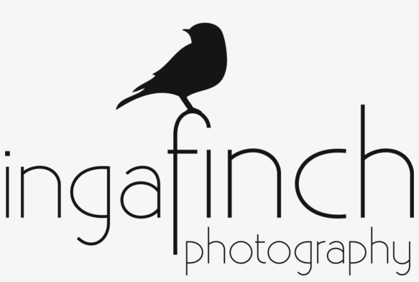 Atlanta Wedding Photographer - Photographer, transparent png download