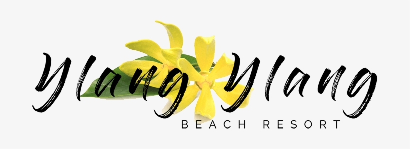 Ylang Ylang Beach Resort - Isabella's Clearly Soft Sensitive, 2 Oz. Gentle Face, transparent png download