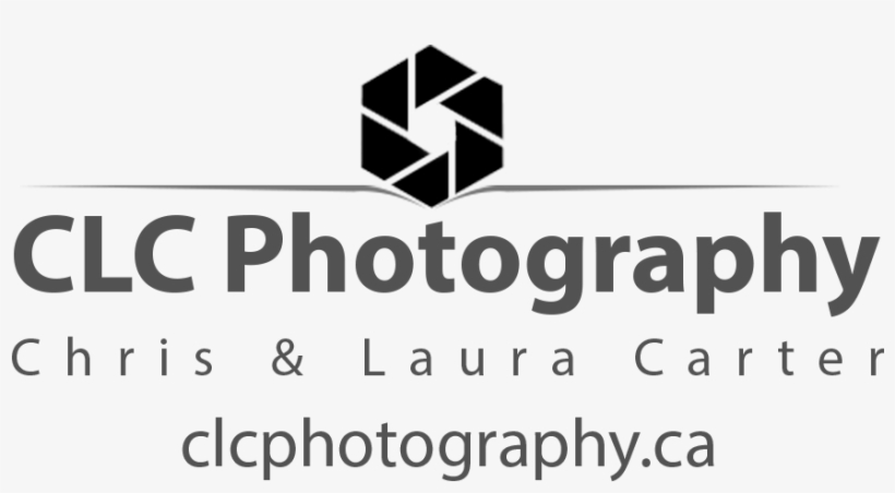 Photographer, transparent png download