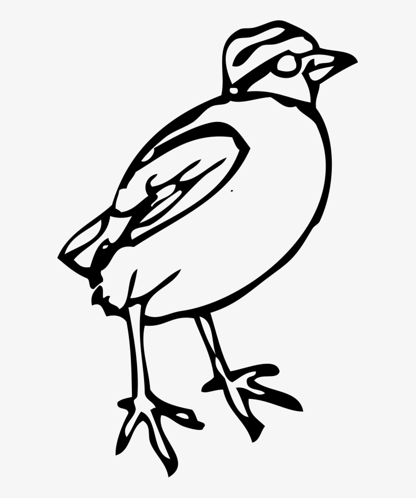 How To Set Use Little Bird Clipart, transparent png download