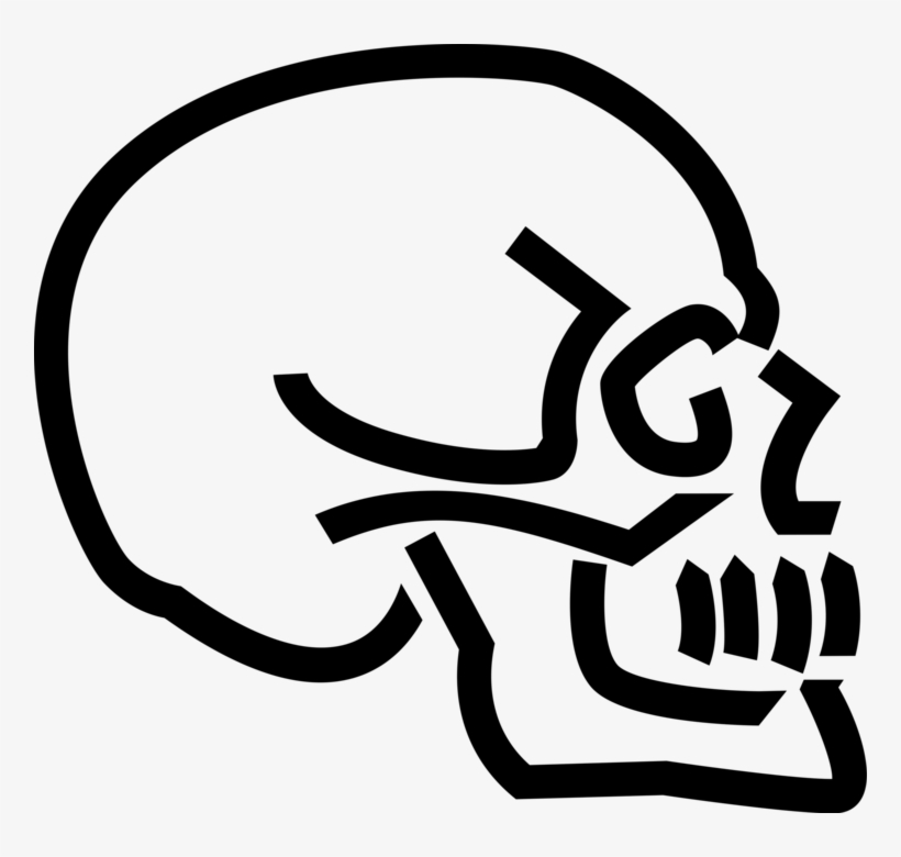 Vector Illustration Of Human Skull Skeleton - Baby Crib Clip Art, transparent png download