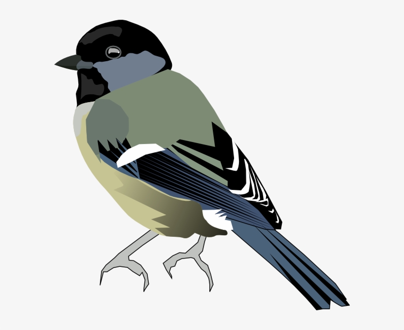 Birds Vector Png - Tit Bird Transparent, transparent png download