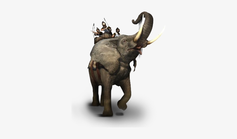 Total War - Elephant And Rider Png, transparent png download