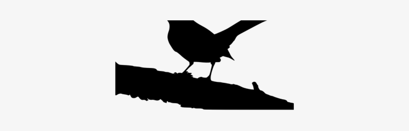 Png Mockingbird - Mockingbird Silhouette Transparent, transparent png download