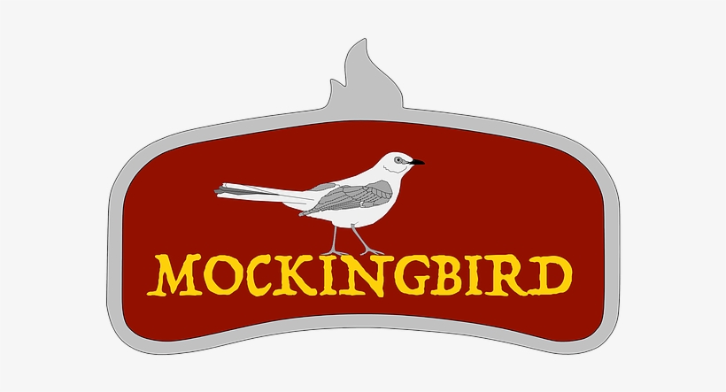 Contact - Illustration, transparent png download