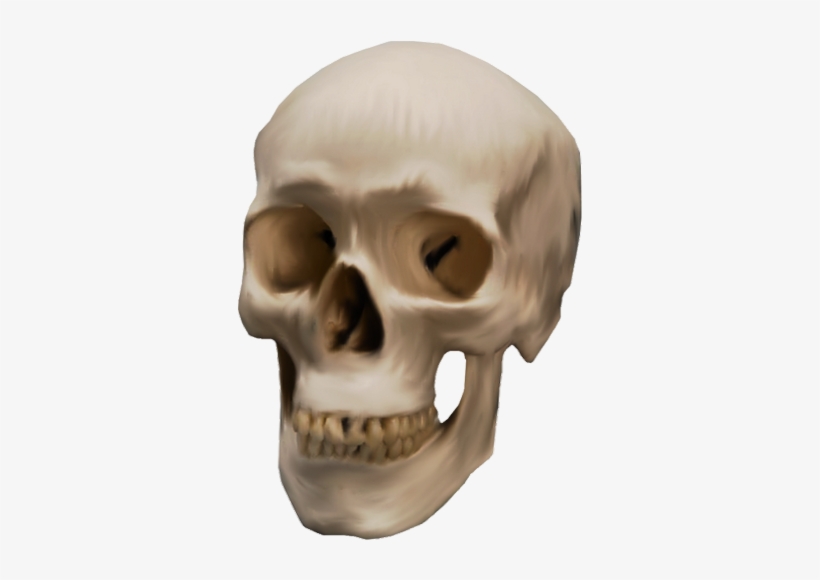 Skeleton, Skull Png - Skull, transparent png download