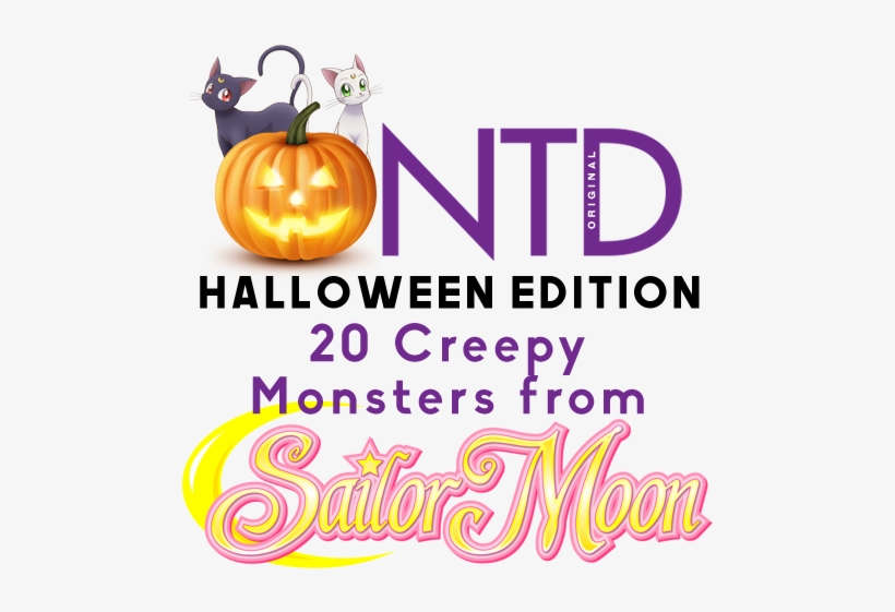 For Moonies, One Of The Best Things In Sailor Moon - Sailor Moon R Season 2 - Part 1 (limited Edition) Dvd, transparent png download