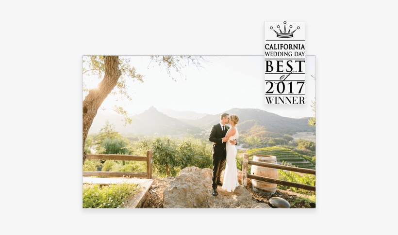 Media - Cielo Farms, transparent png download