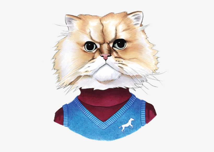 Fuzzy Cat - Ryan Berkley, transparent png download