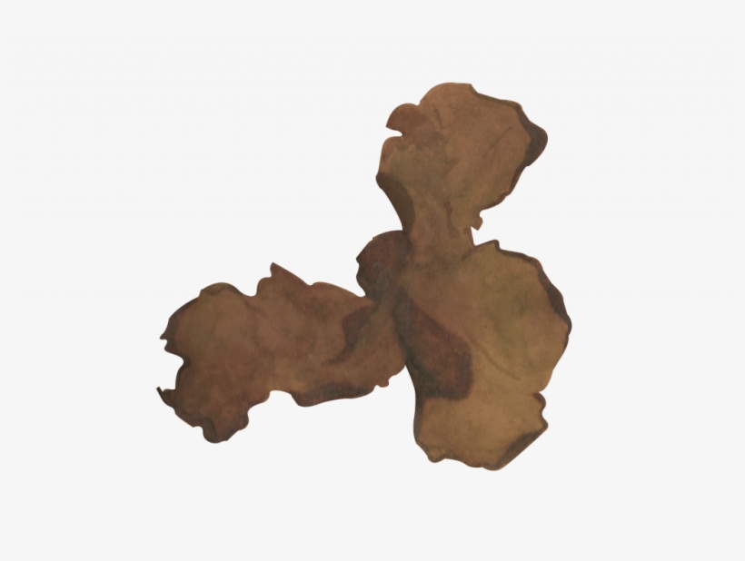 Laver, transparent png download