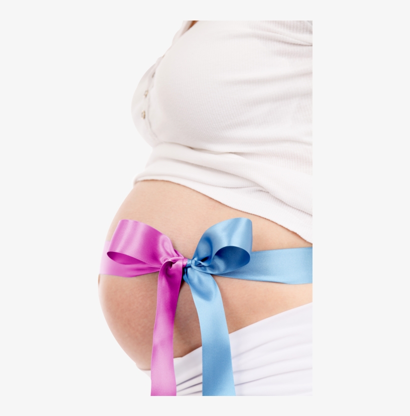 Download Pregnant Woman Png Image - Boy Vs Girl Belly Shape, transparent png download