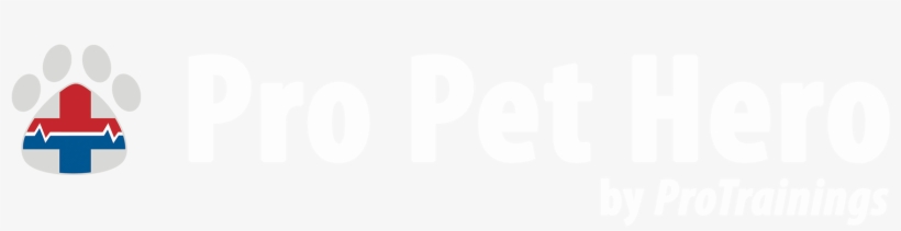 Neosporin And Cats, transparent png download