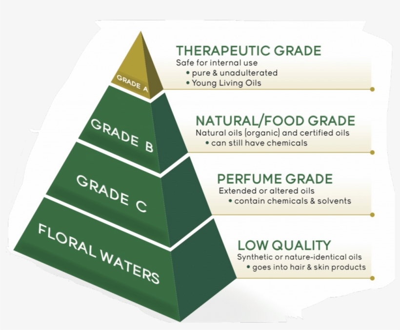 Introducing Young Living Essential Oils - Young Living Essential Oil Grade, transparent png download