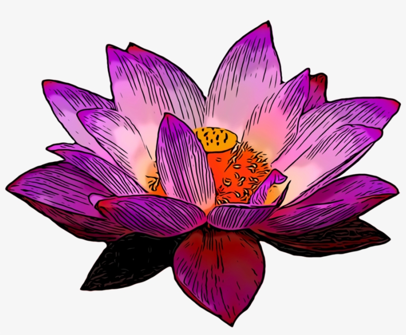 Petal Clipart Crocus - Portable Network Graphics, transparent png download