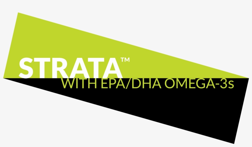 Custom Custom Custom Custom - Omega-3 Fatty Acids, transparent png download