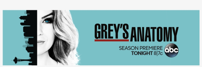 B Grey S Anatomy Season 13 Dvd, transparent png download