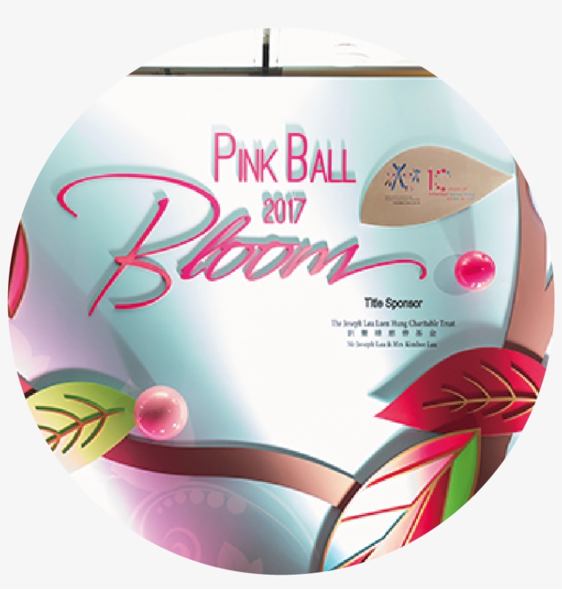 0243 - Home Page, transparent png download