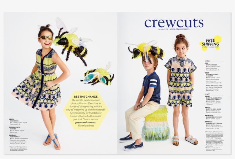 Sept15 Ii, transparent png download