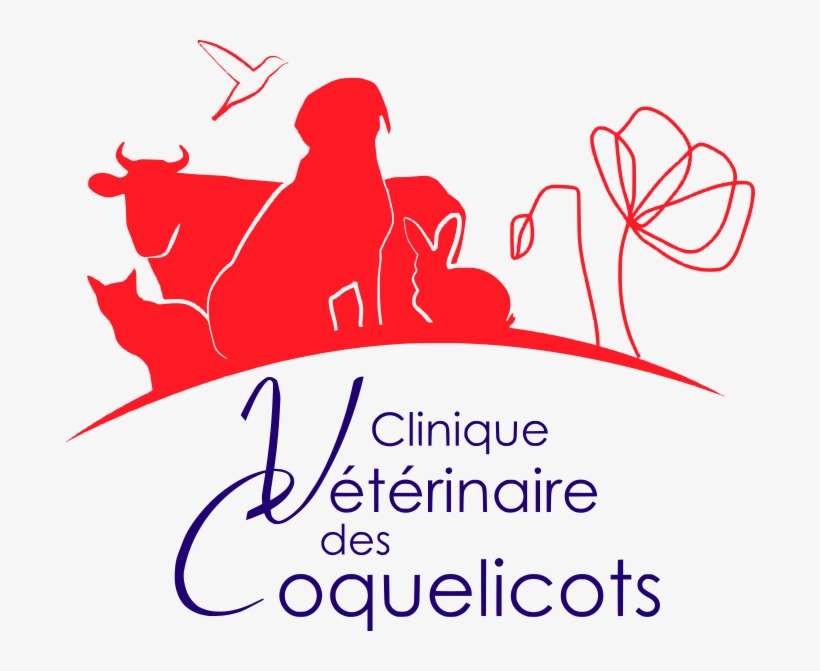 Clinique Vétérinaire Des Coquelicots - Veterinary Physician, transparent png download