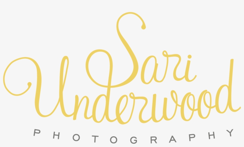 Flickr, transparent png download