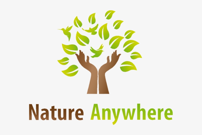 Nature Anywhere Logo - Nature Birds Logo, transparent png download