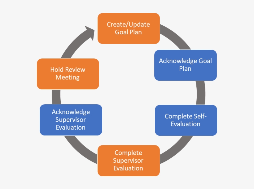 Performance Management, transparent png download