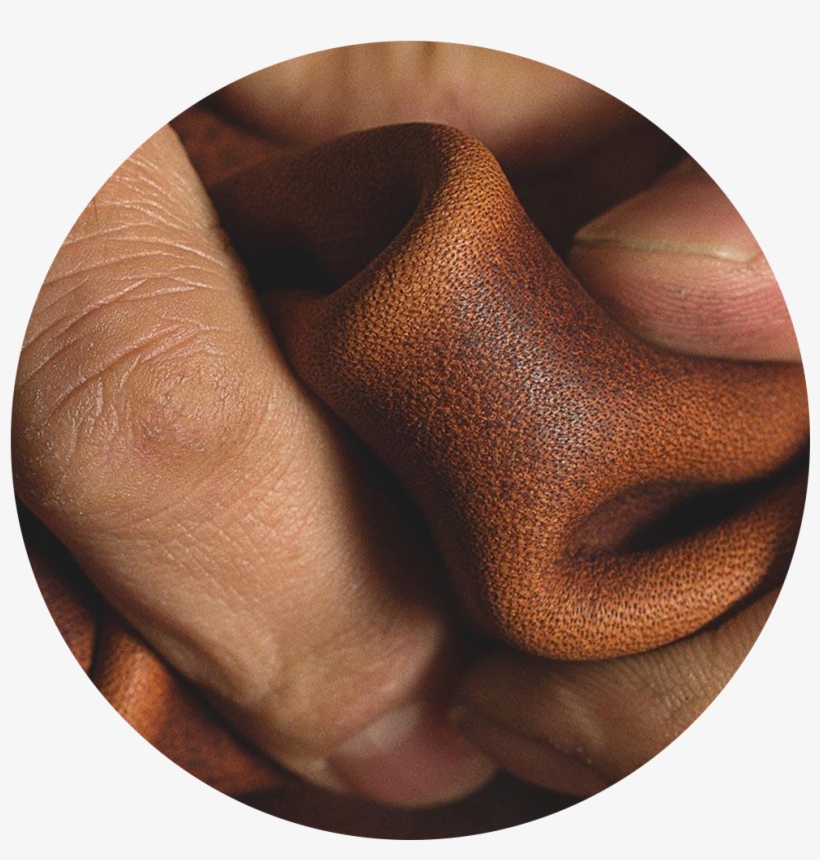 Warbyparker-feature - Leather, transparent png download