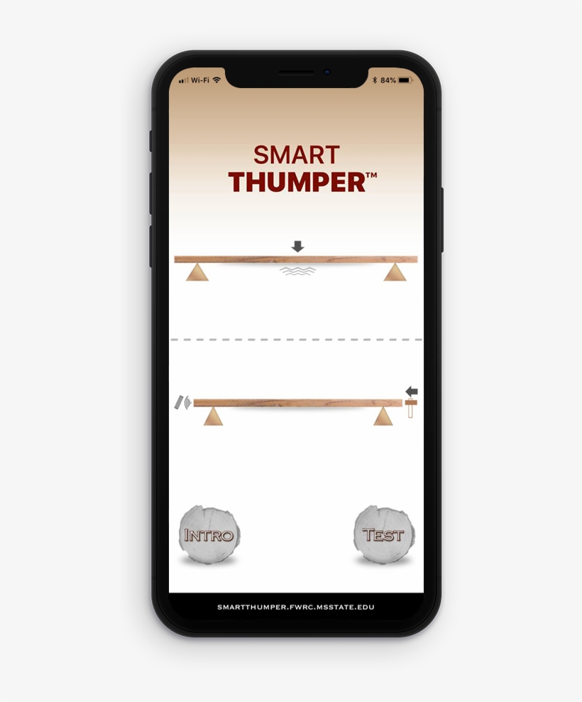 Iphone - Forest & Wildlife Research Center, Mississippi, transparent png download