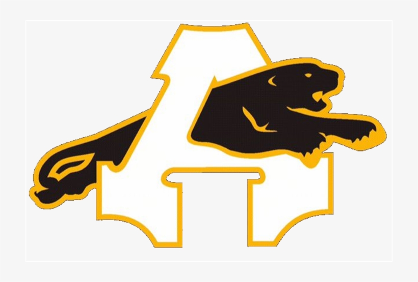 Panthers Logo Png, transparent png download