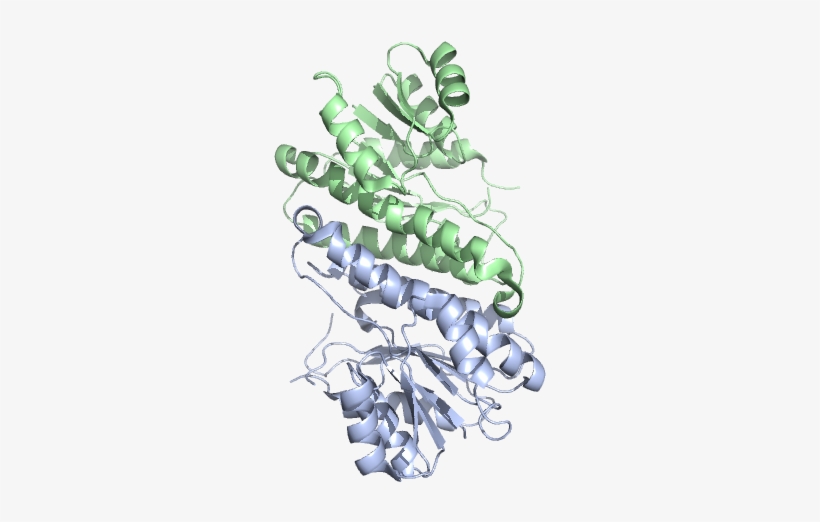 3asu 3asv, transparent png download