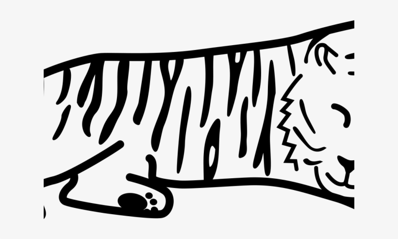 White Tiger Clipart - Clip Art Black And White Tiger, transparent png download