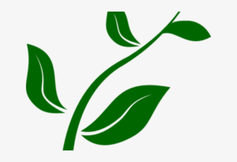 Pot Plant Clipart Plant Nursery - Growing Plant Clip Art, transparent png download