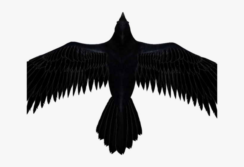 Raven Clipart Transparent Background - Clip Art Raven Png, transparent png download