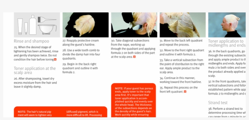 Retouch Reestablish Application - Brochure, transparent png download