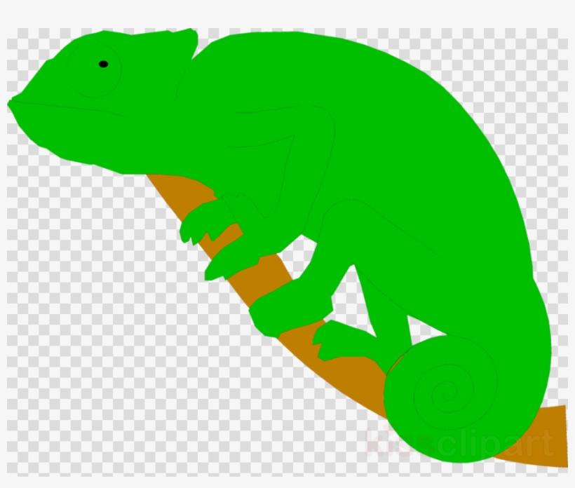 สัตว์ ป่า การ์ตูน Png, transparent png download
