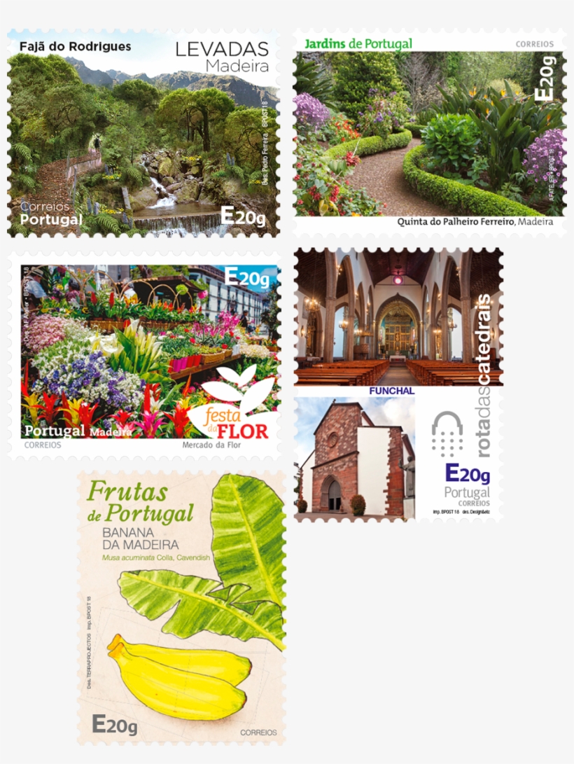 18 Jan - Botanical Garden, transparent png download